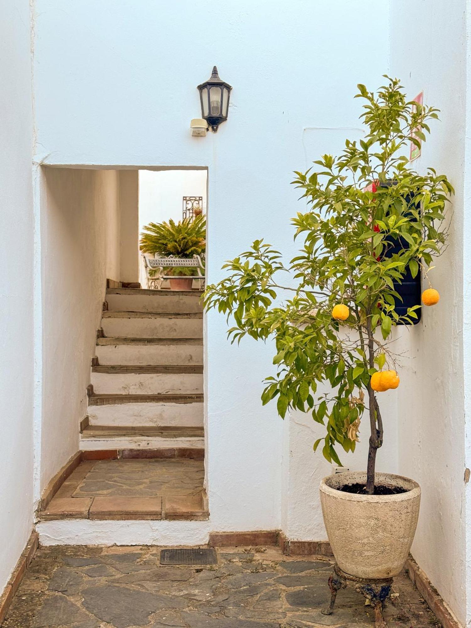 Hotel Cortijo Las Piletas Ρόντα Εξωτερικό φωτογραφία